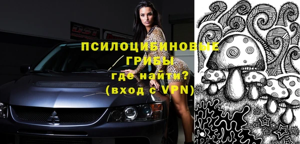 шишки Вяземский