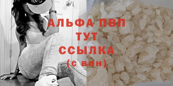 PSILOCYBIN Переславль-Залесский